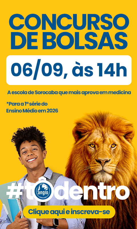 Concurso de bolsas